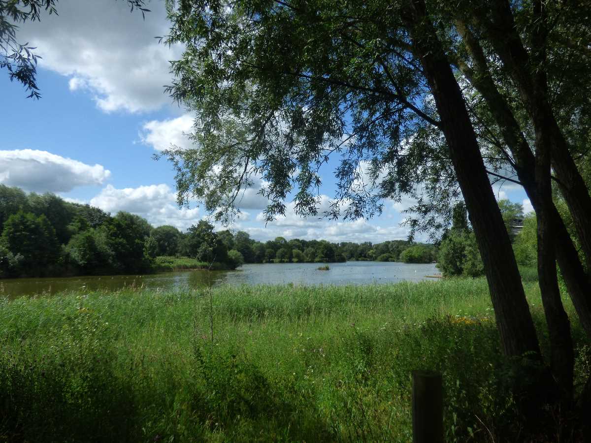 Arrow Valley Country Park, Redditch - A Wonderful open space!